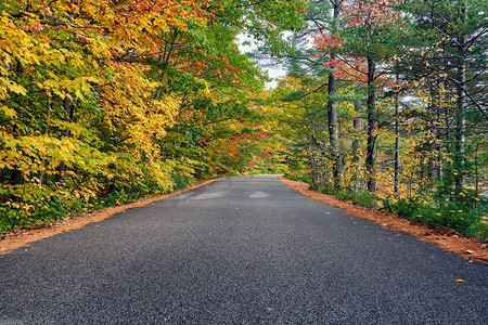 秋天的风景与道路在白山国家森林，新罕布什尔州，美国.秋天在新英格兰。 