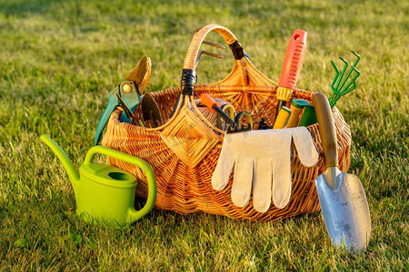 桃花园摄影照片_园艺工具在柳条篮和浇水罐在草地上