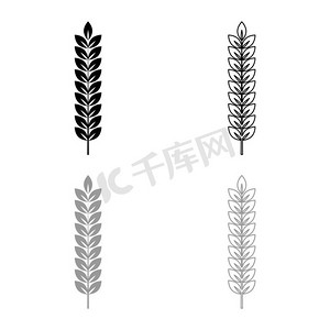 小麦植株小穗的分枝图标轮廓设置为黑色、灰色、矢量插图、平面风格、简单图像