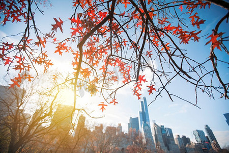 纽约市曼哈顿中央公园全景在秋天湖有摩天大楼和五颜六色的树与反射的秋天湖