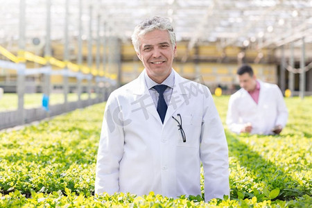 肖像微笑的成熟男性植物学家站在植物苗圃中的草药