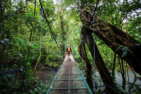 costa摄影照片_Handing Bridge在绿色丛林，哥斯达黎加，中美洲