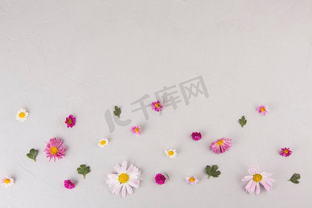 明艳的花叶散落在桌子上。高分辨率照片。明艳的花叶散落在桌子上。高品质的照片