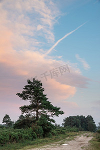 美丽的夏天日落风景图象Ashdown森林在英国农村与充满活力的颜色