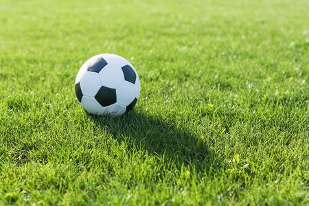 足球草与阴影高分辨率照片。足球草与阴影高品质的照片