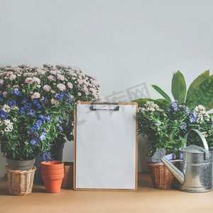 空的白色剪贴板，在棕色的桌子上有复制空间，上面有盆花。现场用记事本和空做清单和植物。前视图。