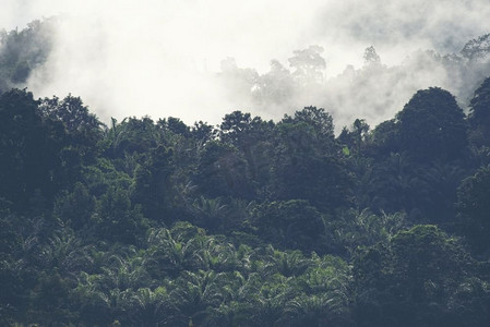 热带森林与湖泊，泰国