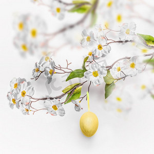 春天优惠券摄影照片_春天开花的分支与悬挂的黄色复活节蛋在白色墙壁背景。