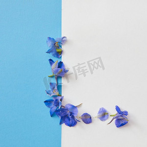 文本框摄影照片_明信片有蓝色花的框架在蓝色背景与白色地方为文本，平奠定。花框