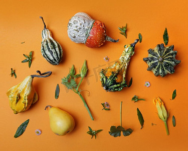 图案从各种装饰南瓜的绿叶和花在橙色背景平奠定。秋季图案从装饰南瓜