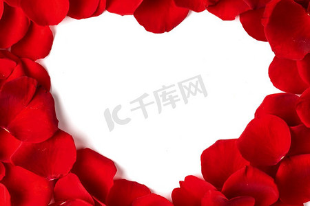 心形框架由玫瑰花瓣制成，白色孤立复制空间。花瓣心形框架