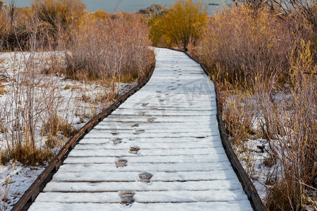 木质木板路通向白雪覆盖的湖面