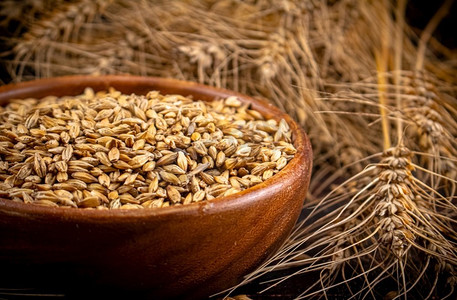 大麦演唱会摄影照片_木碗与小麦粒和小穗。在黑暗的背景下。木碗与小麦粒和小穗。 