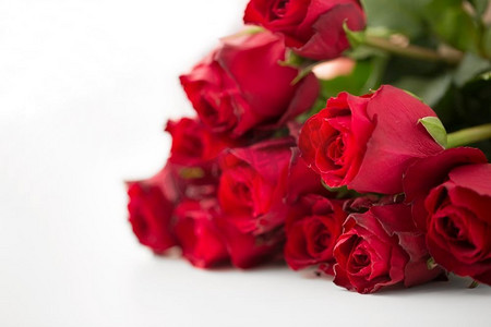 花，情人节和假日概念—关闭红色玫瑰束。红玫瑰束特写