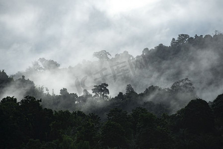 山水层层，热带森林自然田野