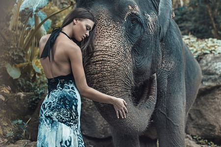 漂亮的女人拥抱一个可爱的印度大象
