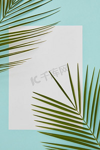 包角摄影照片_有角的框架装饰棕榈叶。空白可以用于任何情感想法。棕榈叶装饰的框架