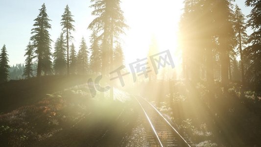 火车剪影摄影照片_在阳光下森林环绕的铁路上飞行。飞越铁路