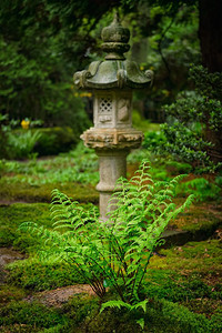 荷兰海牙克林根代尔公园，日本花园中的绿色蕨类植物和灯笼。荷兰海牙克林根代尔公园日式花园