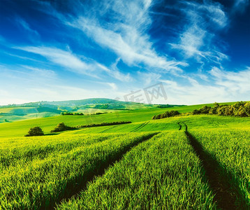 复古效果过滤了捷克摩拉维亚蓝天绿地的潮人风格形象。摩拉维亚的绿色田野