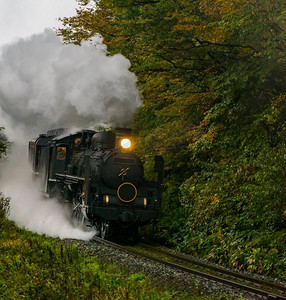 日本福岛秋季森林中的蒸汽机车