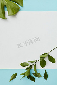 一张纸与空白的文字下的蓝色背景装饰叶子平躺。明信片装饰叶