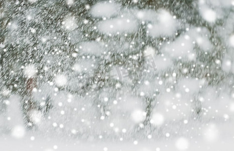 下雪摄影照片_冬季假期，降水，圣诞节，季节和天气概念—下雪或降雪。下雪或下雪