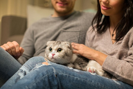 宠物和人的概念—关闭夫妇与苏格兰折叠猫关闭夫妇与苏格兰折叠猫