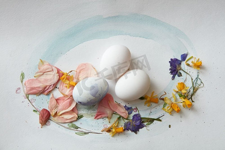 传统的复活节彩蛋水彩画，画有树叶和花朵。纸上的鸡蛋