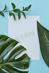 花卉文字框摄影照片_明信片上有树枝的叶子装饰在白色的框架上，蓝色的背景下有一个地方的文字平铺。由绿色的枝叶构成的框架