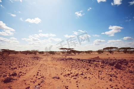 车在沙漠摄影照片_在非洲的野生动物和极端旅行。干旱山地景观与灰尘在越野车探险的道路。