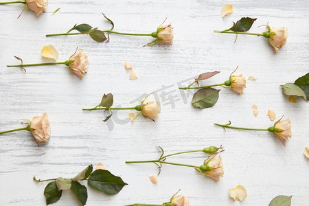 图案由各种天然玫瑰整齐排列在白色桌子上。平铺..背景玫瑰