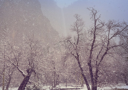 下雪感冒摄影照片_冬山