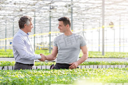 自信的商人握手与男性植物学家在温室