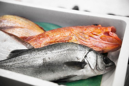 街市摄影照片_海鲜、销售及食品概念—日本街市鲜鱼特写。日本街市鲜鱼或海鲜