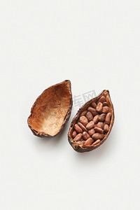 白色背景下，有机生豆填满了西奥布罗玛可可树的一半。用未去皮的豆子填充的可可豆