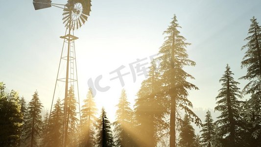 典型的老风车涡轮机在森林在日落