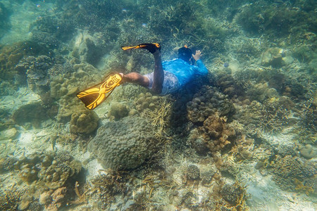 自由潜摄影照片_浮潜潜水员使在热带礁的自由潜水与蓝色背景和礁鱼在安达曼海印度洋泰国
