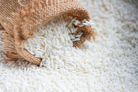 在麻袋和收获的米在木桌，收获的米和食物谷物烹饪概念的茉莉花白米