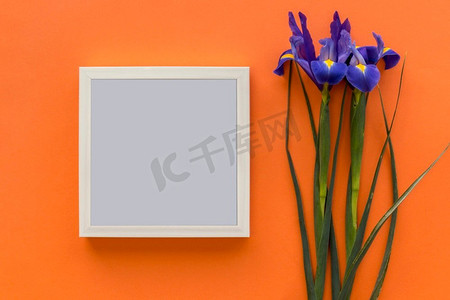 多彩相框摄影照片_虹膜紫色花黑色相框反对明亮的橙色背景