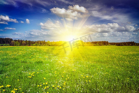 太阳蓝色天空摄影照片_在日落与蓝色天空和太阳光线的夏天草地。有镜头闪光和光线泄漏。绿色的草地与草在夏天