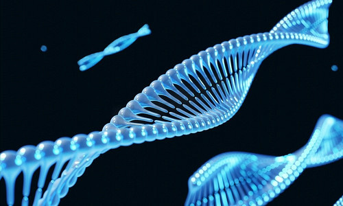蓝色螺旋DNA染色体遗传修饰在黑色背景。科学和医学概念。3D插图渲染