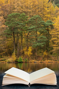 黄色书页摄影照片_令人惊叹的充满活力的秋季风景图片Blea Tarn，金色映在湖面上，从阅读书页中出来
