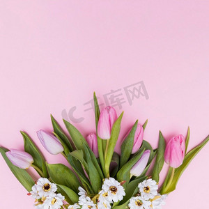 红色品质摄影照片_白色粉红色的花朵。高分辨率照片。白色粉红色的花朵。高品质的照片