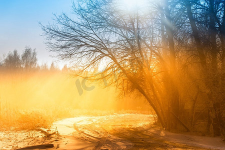 下雪的天空摄影照片_冬日雾蒙蒙的乡间小路在早晨的阳光下。冬天雾蒙蒙的乡间风光。冬季公园。白俄罗斯