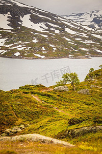 欧洲最高的山地高原Harrividda的日落景观。挪威Harrivida高原