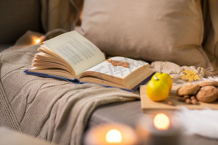 Hygge和舒适的家庭概念书与秋天的叶子，柠檬和燕麦饼干沙发。书与秋天树叶和毯子在沙发上