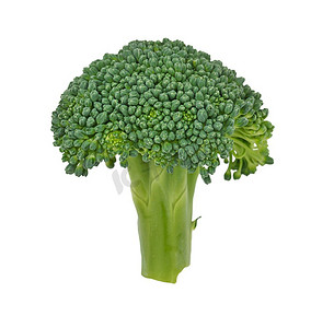 绿色蔬菜背景摄影照片_新鲜西兰花孤立在白色背景