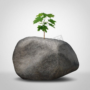 挑战概念作为一个商业斗争隐喻作为绿色植物树苗从一个贫瘠的岩石生长在3D插图风格。