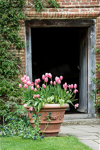 典型的英国乡村花园场面风景与新鲜的春天花在小屋庭院